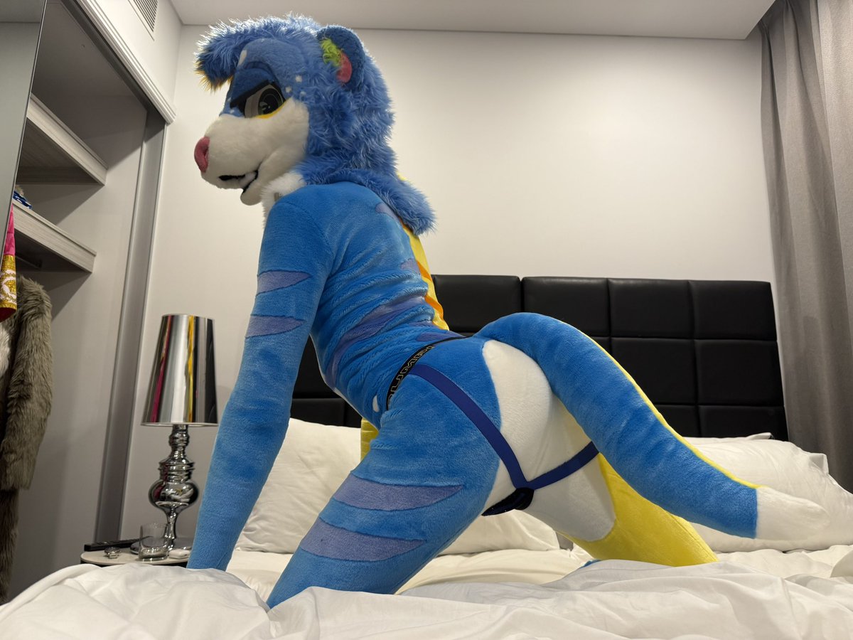 Is this my good side? 😣

📸 <a href="/DeluxeCanine/">✨DUST✨</a>