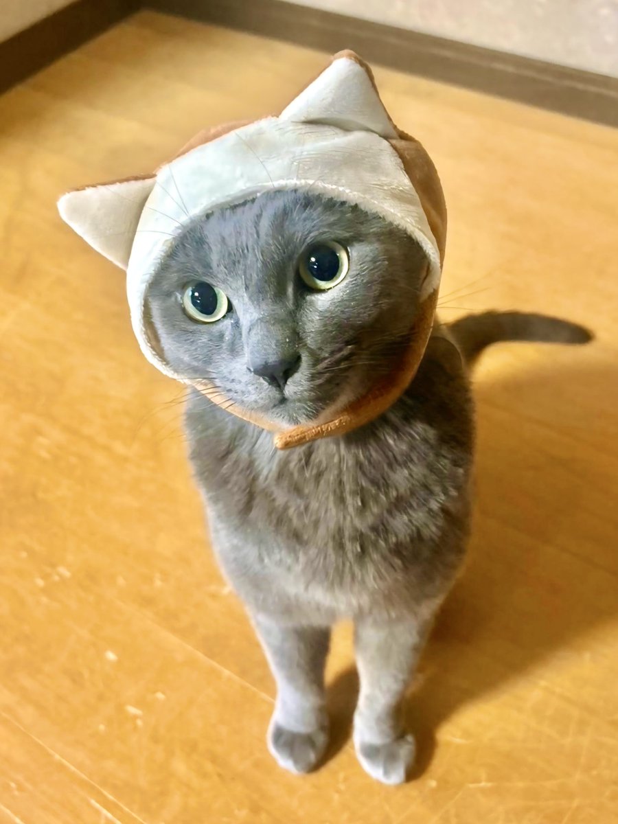 yuka様 ①ワインレッド 緑 おてて横 ねこ耳に変更 yuka様