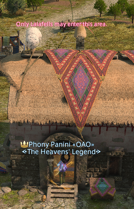 thank you YoshiP. Although I'm short enough to go in