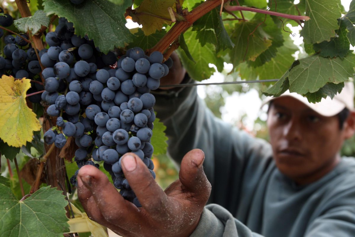 El comercio agroalimentario ofrece respuestas dispares ante el nuevo arancel de EEUU.
ow.ly/5Tot50WBbp7
#arancel #eeuu #agro #comercio