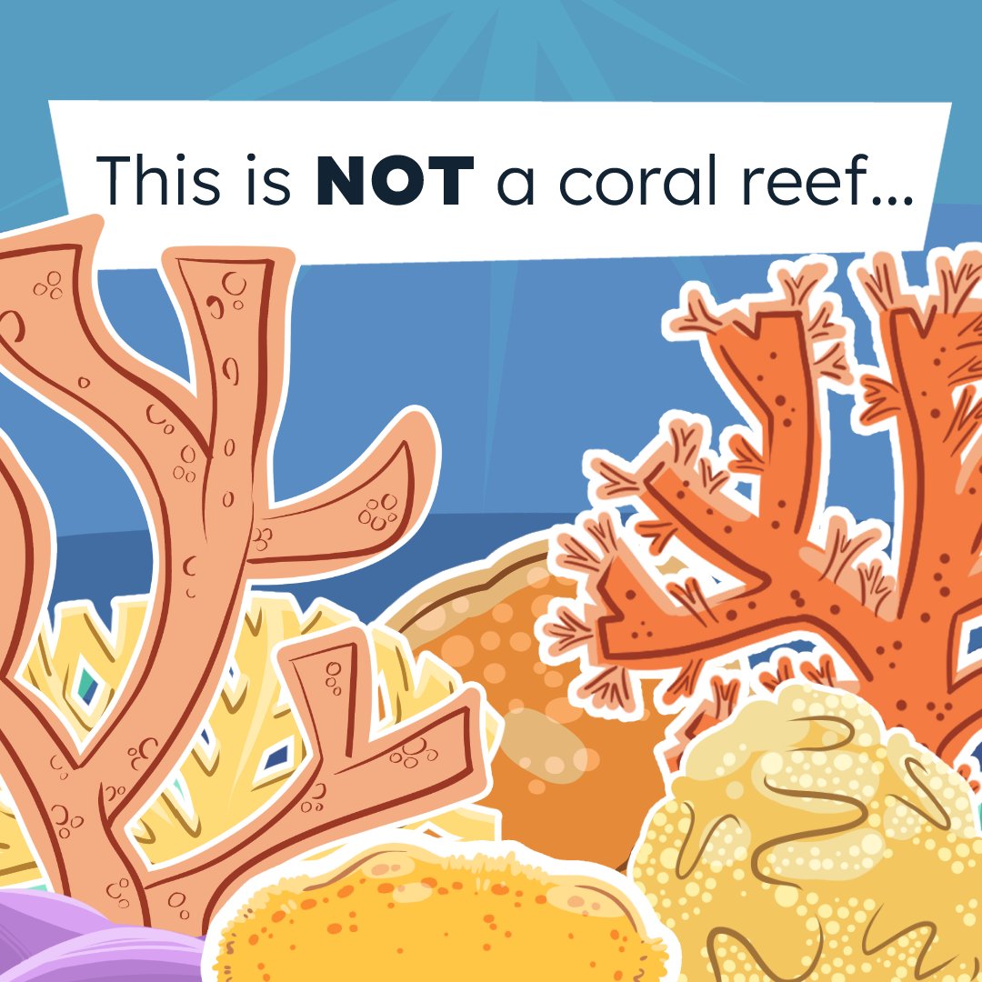 🪸What are bryozoans?

Tiny, reef-building animals that filter water &amp; store carbon — small but essential!

Our new study shows how warming &amp; acidification threaten them.

Sneak peek below — full animation coming soon!

nature.com/articles/s4200…

#MedCalRes #cookedillustration