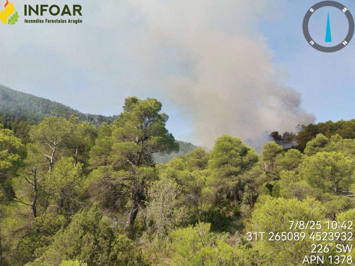 #IFBeceite

🗓️ 7/8/25 🕙 10:13h

#INFOAR del <a href="/GobAragon/">Gobierno de Aragón</a> se han movilizado 3 helicópteros de transporte y extinción con 3 brigadas helitransportadas, el helicóptero de coordinación, 2 brigadas terrestres y 2 autobombas. También participan bomberos de la <a href="/DPTeruel/">Diputación de Teruel - DPT</a>