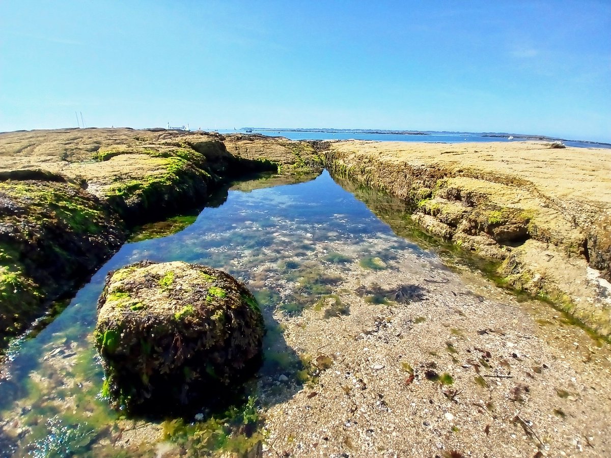 valerie7456's tweet photo. Petit coin de paradis ☀️🌊
La #Bretagne https://t.co/HmMBtXkanc