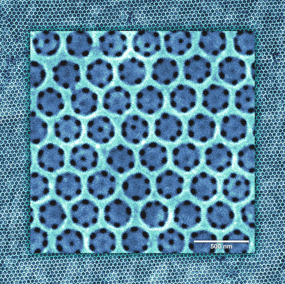 🔬 Przełom w nanotechnologii z #IFJPAN!

Naukowcy z Instytutu Fizyki Jądrowej PAN w Krakowie jako pierwsi na świecie opracowali tanią i skalowalną metodę pokrywania dużych powierzchni metali uporządkowanymi nanostrukturami z tlenku tytanu. To osiągnięcie może zrewolucjonizować