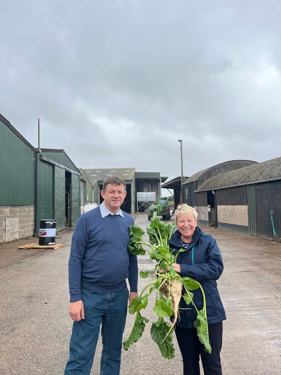 NFU Sugar tweet media