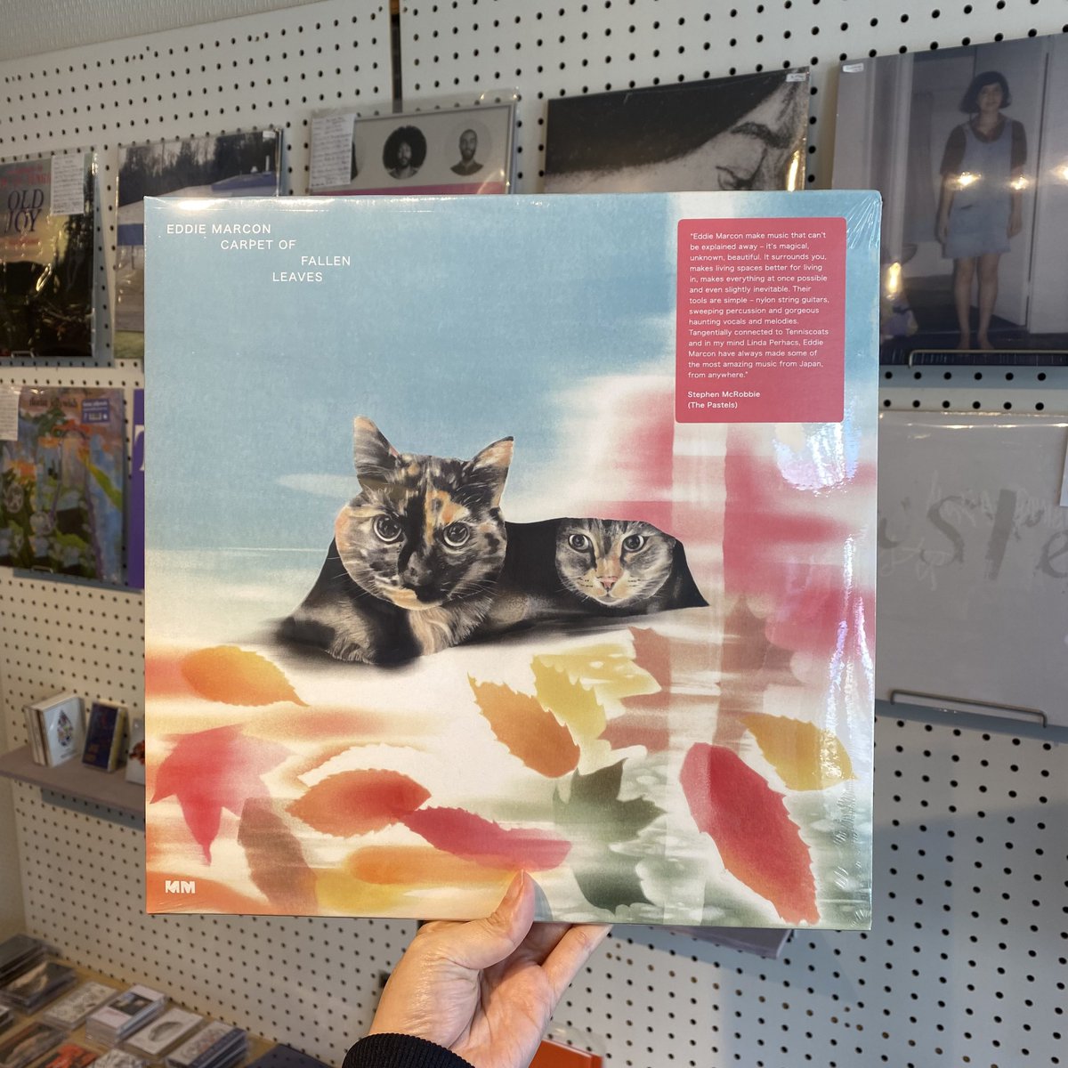 MARKING RECORDS tweet media