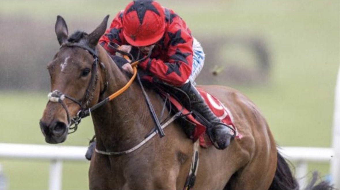 Coolmara Stables (@coolmaras) on Twitter photo THE BIG WESTERNER and LANTRY LADY have returned to <a href="/HenrydeBromhead/">Henry de Bromhead</a> today. Fingers crossed for a good season with both of them. Hopefully they can add more valuable blacktype to their exciting pedigrees. THE BIG WESTERNER and LANTRY LADY have returned to <a href="/HenrydeBromhead/">Henry de Bromhead</a> today. Fingers crossed for a good season with both of them. Hopefully they can add more valuable blacktype to their exciting pedigrees.