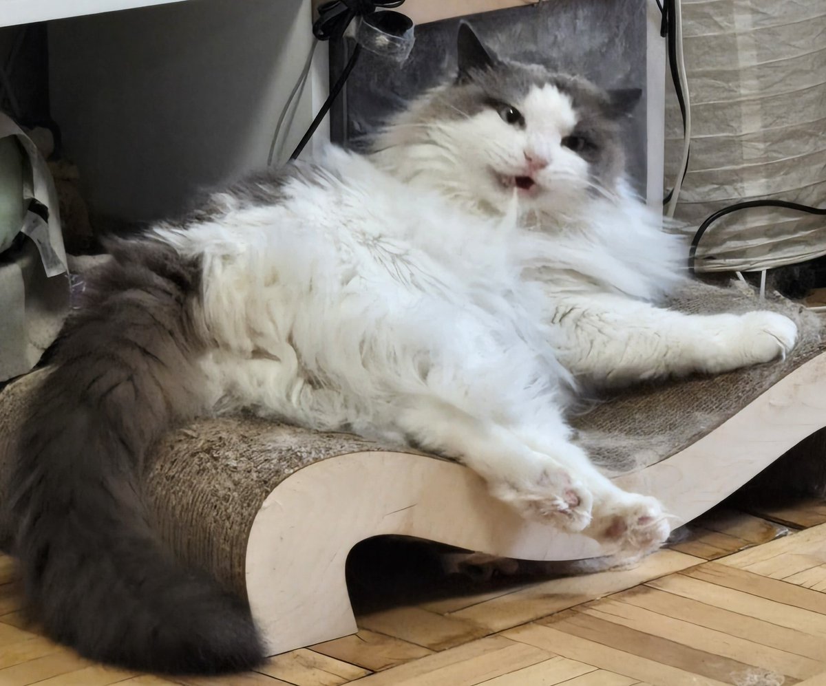 Вот это секси поза, что за ножки, что за лапки!👀

Ещё и языком дразнится, ц ц ц, шалун 🫰