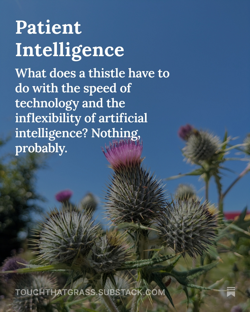 ChipsDunne's tweet photo. A.I. doesn’t digest input, it patterns output.

My latest piece on the limitations of A.I. models and the reasons why we should place more importance on the slow processes of evolution 

#AI #ArtificialIntelligence #GenerativeAI #RegenerativeAI

https://t.co/70OObq3ZrB https://t.co/wl3eRHetLF