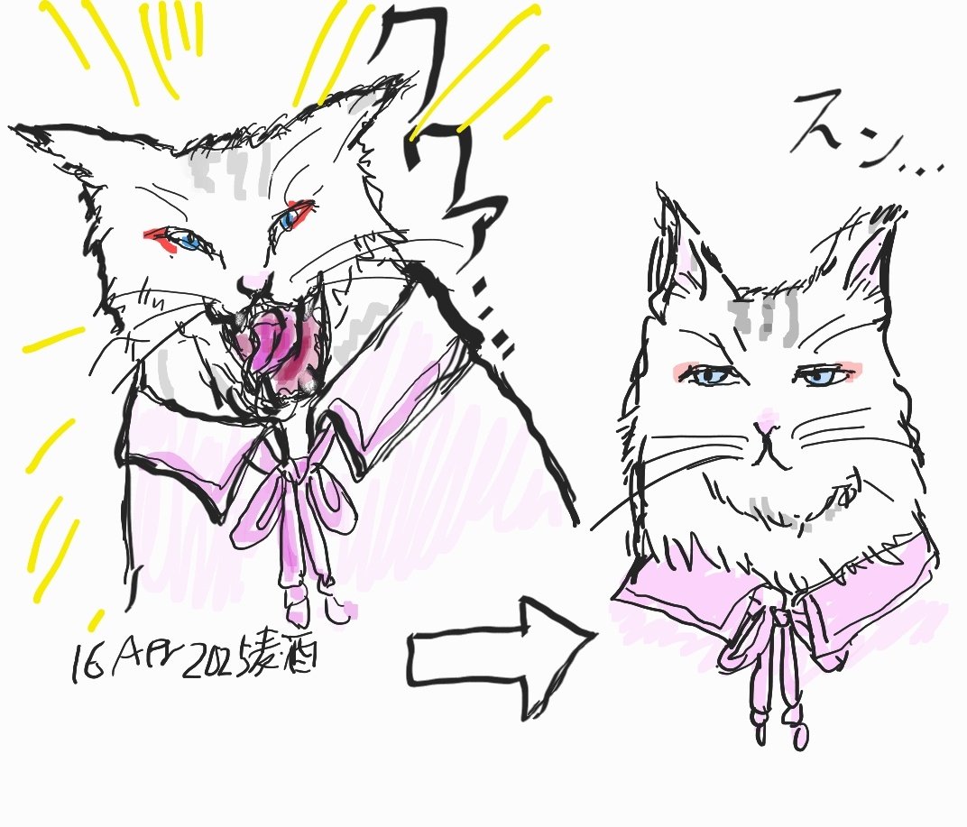 aknkNuma's tweet image. 大トリ、イカ耳の帝王、🤍にゃん。#シロにゃん
今回は眉毛と前髪の一部を足してみました。絵が安定しない。。
全ての言動がネコ。ネコそのもの。
再掲いろいろ。
#SamsungNote 
#麦酒のらくがき
#執事犬猫化