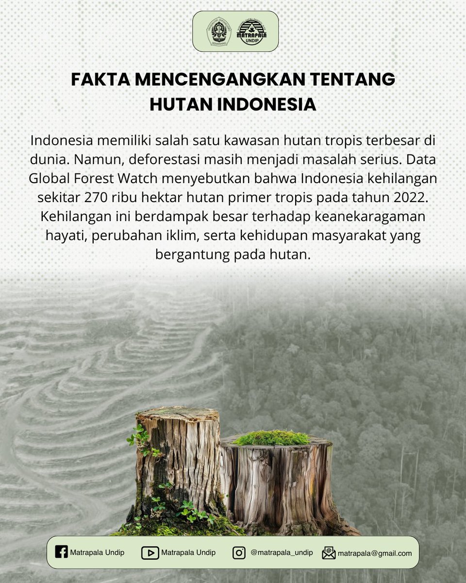 matrapalaUNDIP's tweet image. [Selamat Hari Hutan Indonesia]

7 Agustus jadi pengingat: hutan adalah nafas kehidupan, rumah bagi keanekaragaman hayati.
Tanpa hutan, tak ada masa depan. 🌳

#SalamLestari 
#MatrapalaJaya 
#MAPALA