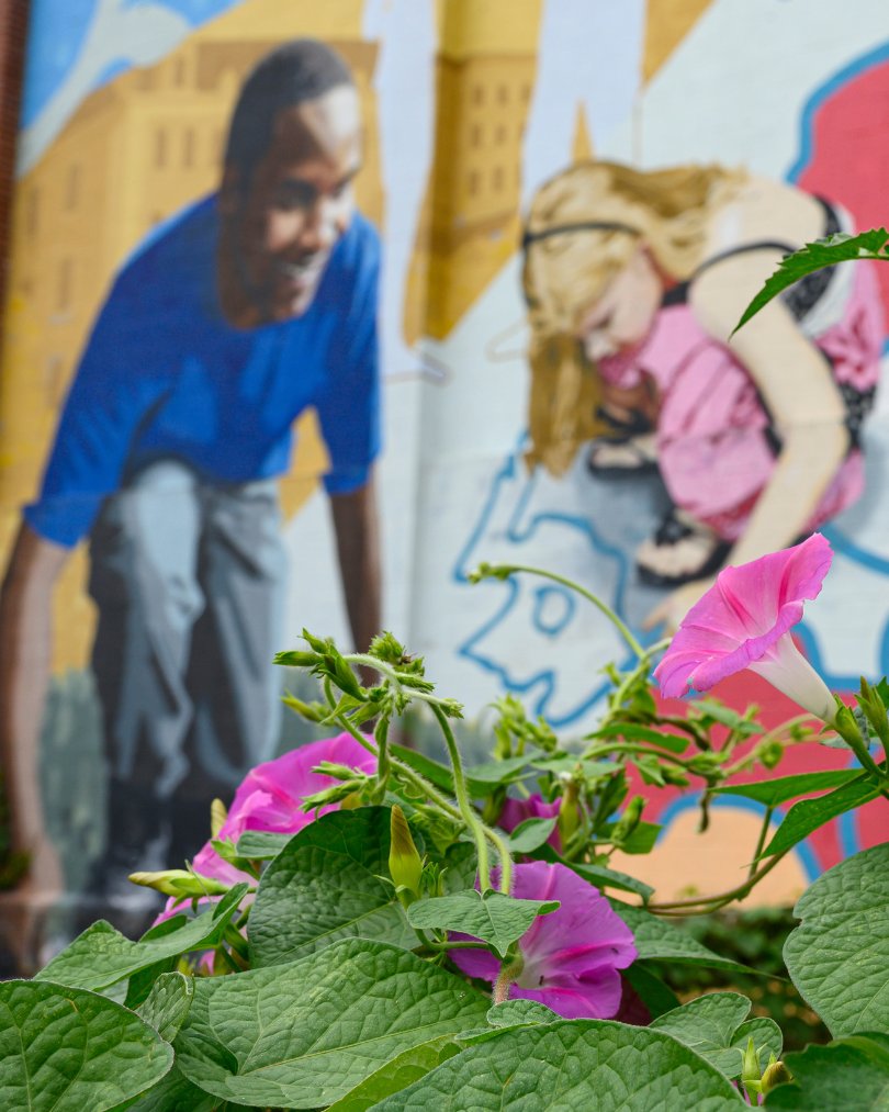 At Bon Secours Urban Farm, it’s not just veggies in bloom—
Morning glories stretch toward the sun, and a mural reminds you who this space is for.

Built by the community. Grown with purpose.
#NatureSacred #BonSecours #UrbanFarm #WestBaltimore #SacredPlaceSpotlight
