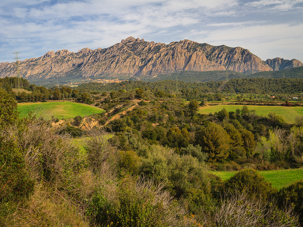 ▶ TURISME | El mirador de Mas d’en Gall incorpora la senyalització del projecte Set Balcons de Montserrat 

👉 S'ha instal·lat una placa informativa i un tòtem amb contingut sobre el valor paisatgístic i la història vinculada a Montserrat. 

📻 tuit.cat/5e46c