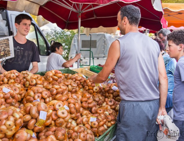 Le 29 août 2025, Tournon‑sur‑Rhône vibre au rythme de la 715ᵉ Foire à l’Oignon 🍽️
300 exposants, bandas, repas Ardéchois &amp; l’inévitable Oignon de Tournon…
Tous au centre-ville piéton pour une journée gourmande et festive ! 

#Ardèche #FoireAuxOignons #Tournon ❤️

<a href="/ARCHEAgglo/">ARCHE Agglo</a>