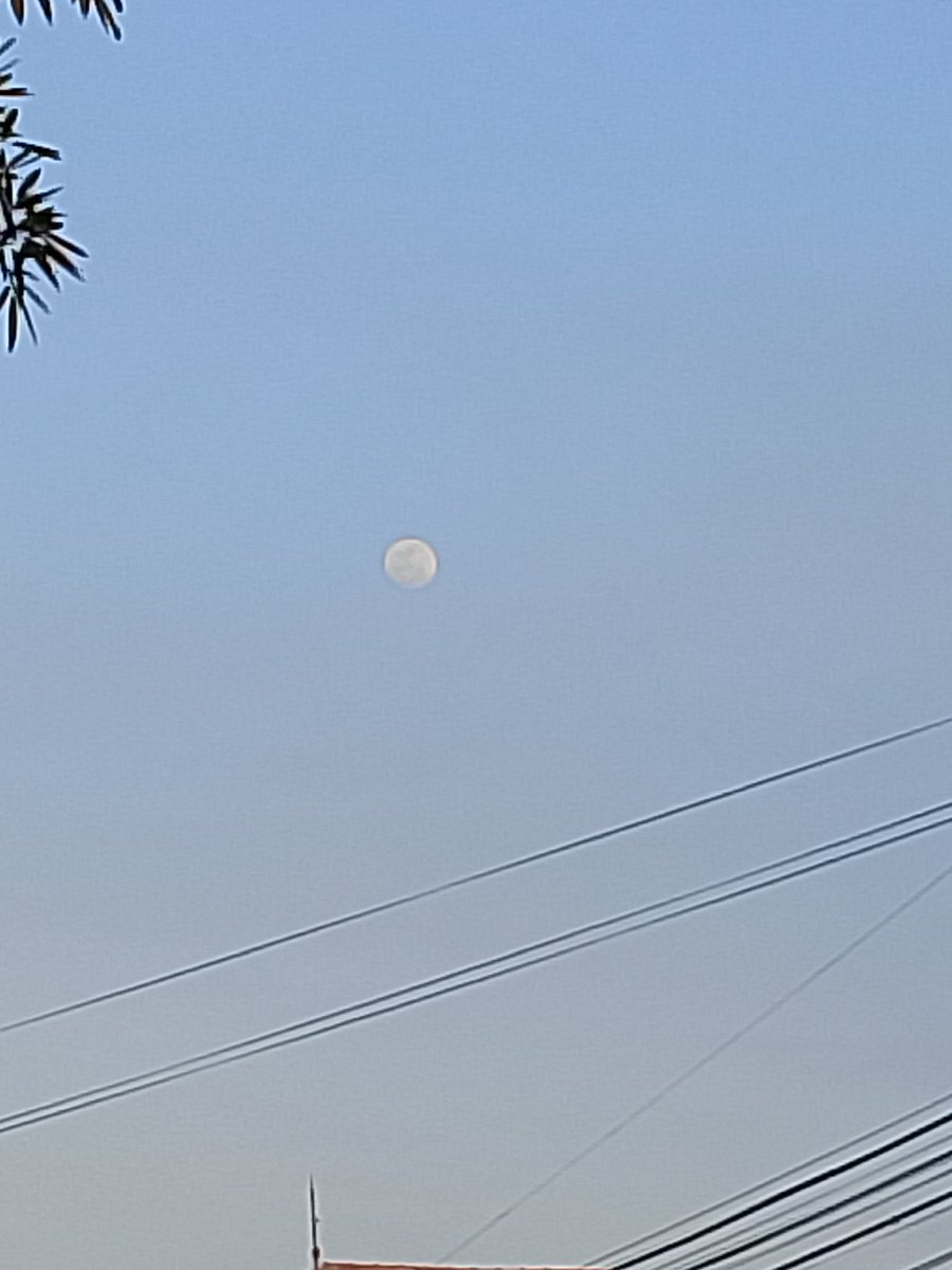 Klo bulan bisa ngomong