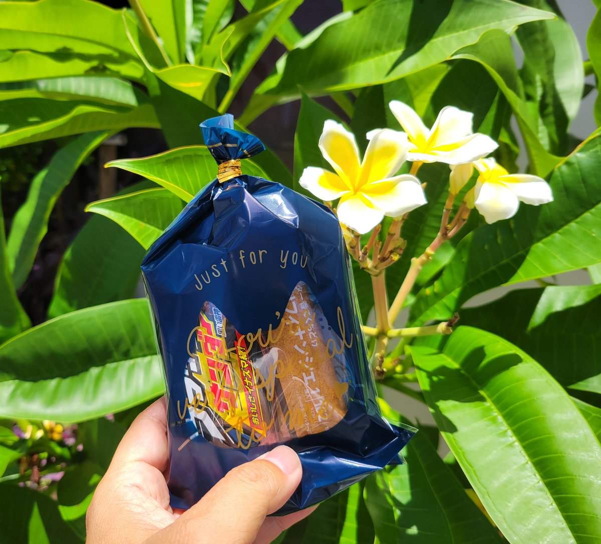 沖縄の夏季集中授業。
しゃべり終えて帰ろうとしたら、
「先生の授業、とても楽しいです！」
と、はずんだ声でお菓子をもらった。