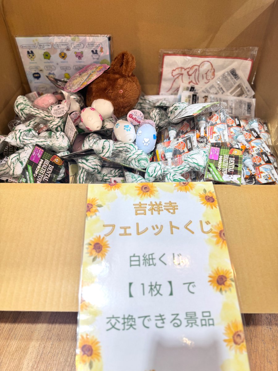 nettai_club's tweet image. #吉祥寺フェレットくじ

白紙くじで交換できる景品の一部をチラ見せ🫣
白紙くじも枚数に応じてさまざまな景品と交換できます🎁
選べる景品は先着順なので、早めのご来店がオススメです🙌✨

#フェレット
#ペットショップ 
#吉祥寺