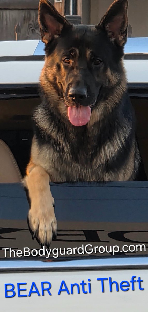 007Bodyguards's tweet image. Kris Herzog Owner The Bodyguard Group of Beverly Hills security 2025 Taylor Swift Kim Kardashian celebrity bodyguards TheBodyguardGroup.com YouTube.com/SupportVeterans