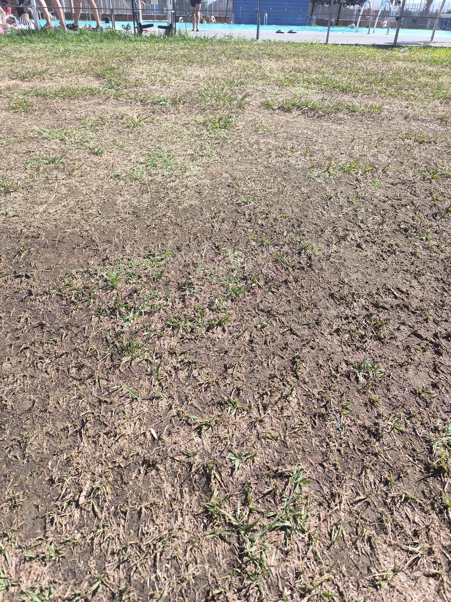 Juzguen Uds mismos la piscina municipal de <a href="/aytodebadajoz/">Ayuntamiento Badajoz</a> 
👶🏻Niña de dos años paga.
⛱️ Poca sombra.
☀️No alquiler de sombrillas. 
🌿Césped sin cuidados.
Así normal que vayamos a otras localidades a pasar un día de piscina en familia.
¡Aún queda todo agosto!
Sin palabras 🤐