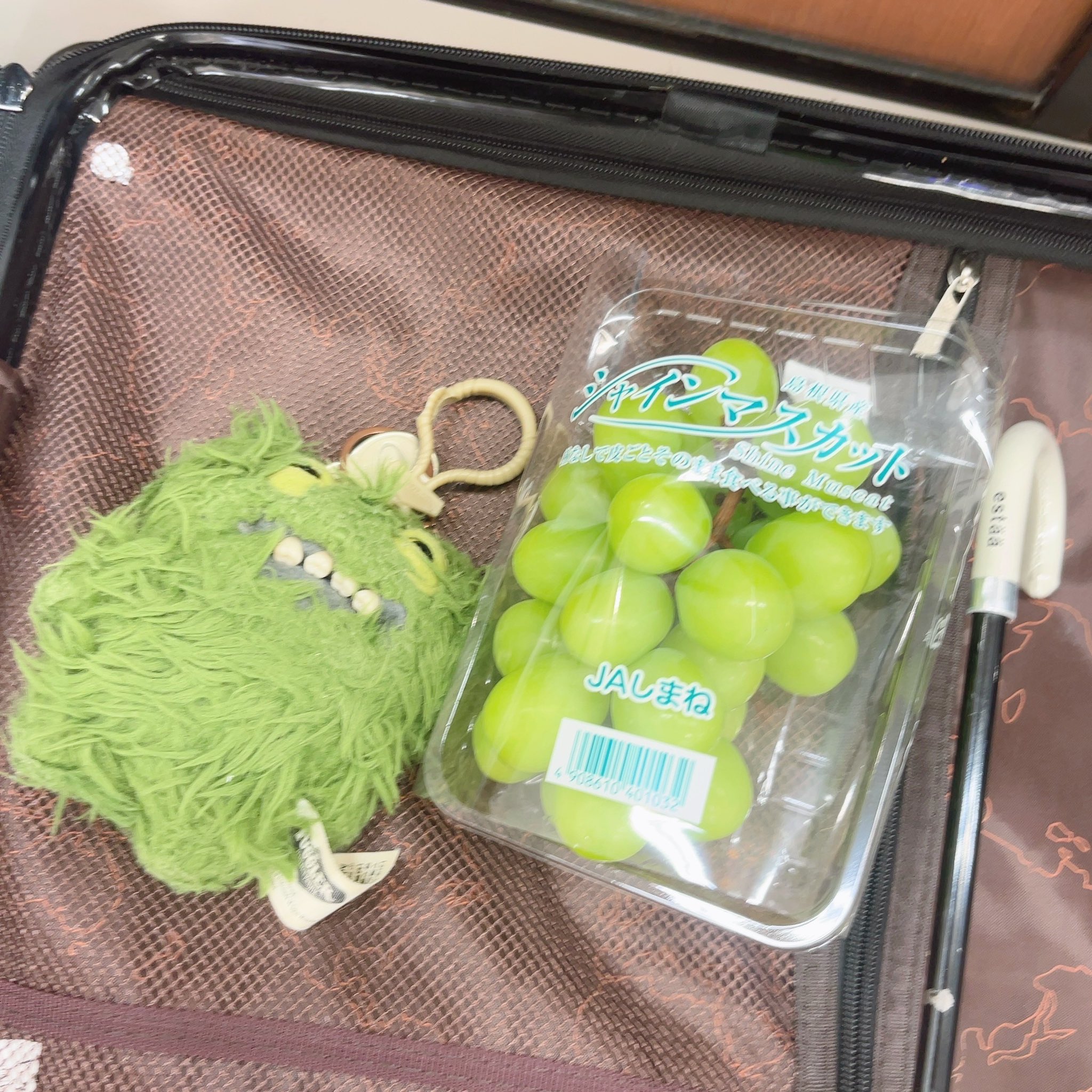 マスカット(+他) 画像(参考) 画像・写真】極上の甘さと香り！皮ごと楽しむ「秀品シャイン
