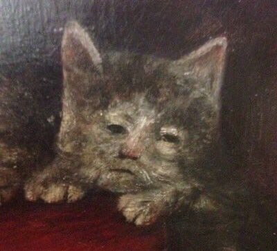 miyarah_'s tweet photo. hoy me siento como las pinturas de los gatos en la edad media https://t.co/egcLAnGGoA