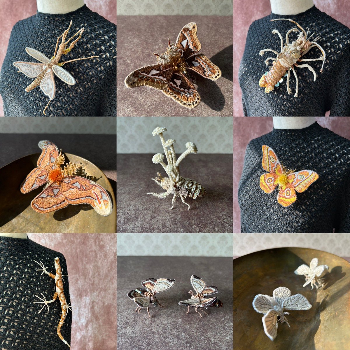 #夜の博物館展 に参加させていただきます🦎🦋🪲