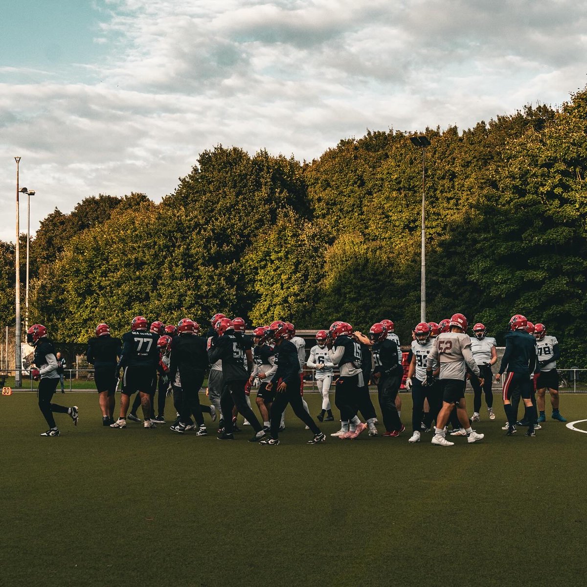 Hamburg Sea Devils tweet media