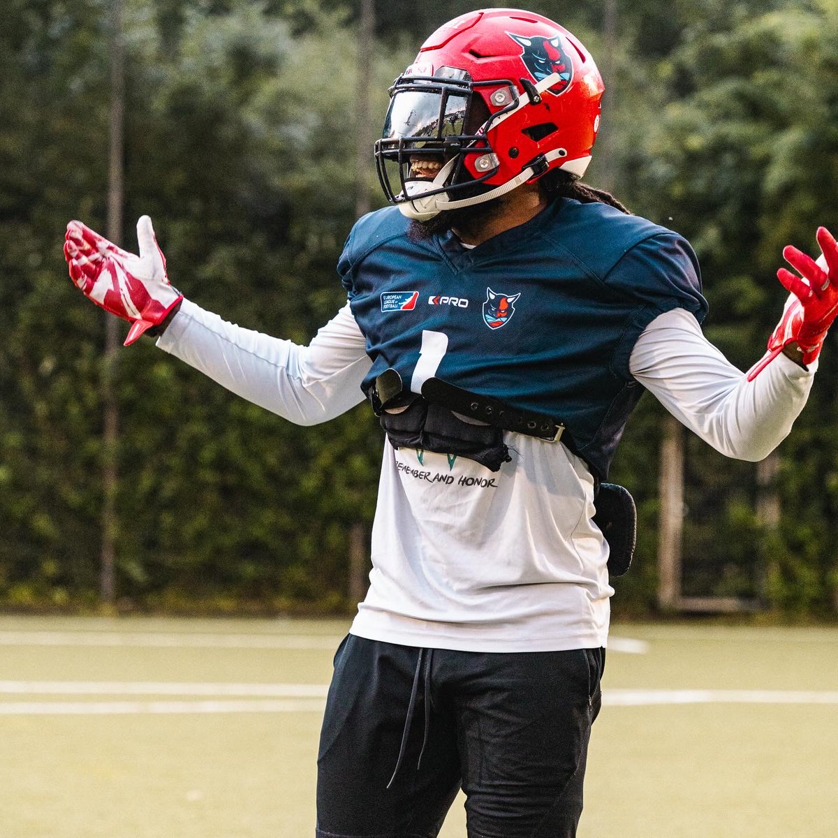 Hamburg Sea Devils tweet media