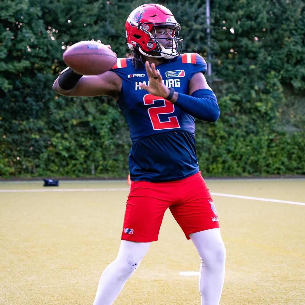 Hamburg Sea Devils tweet media