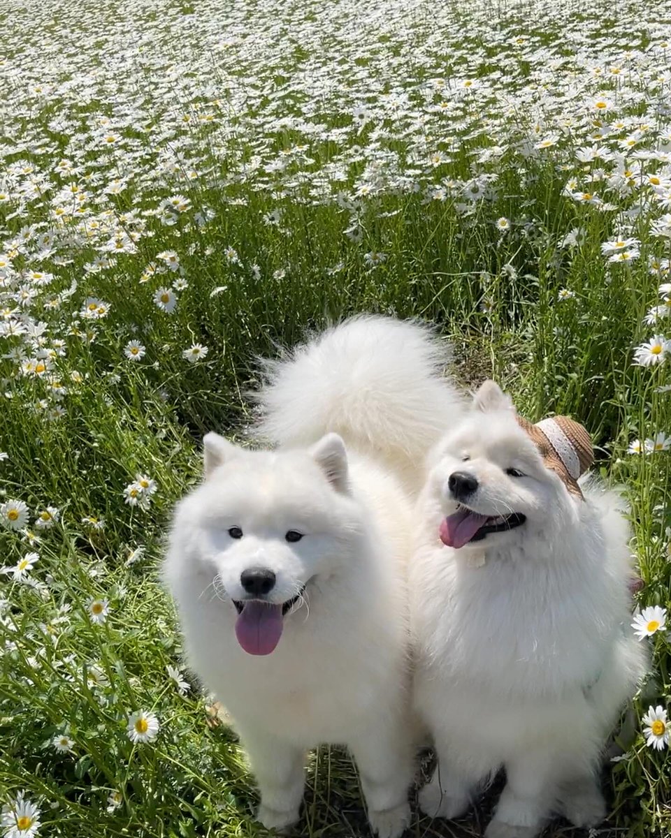 พาไปเที่ยว ❌
พาไปปล่อย ✅