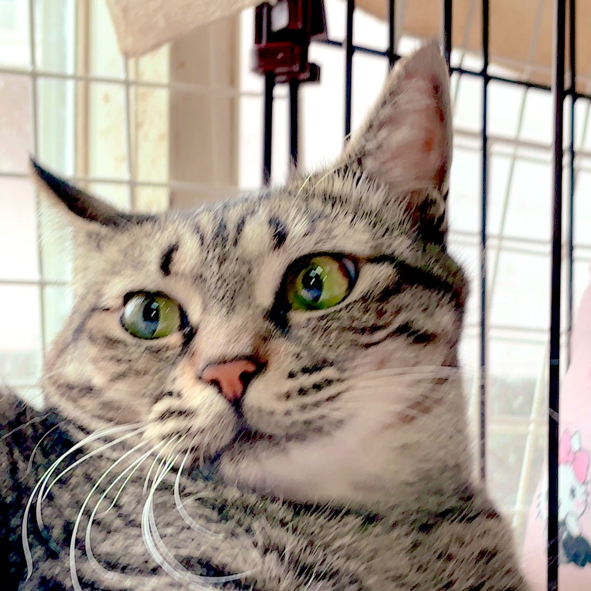 あんどわん tweet media