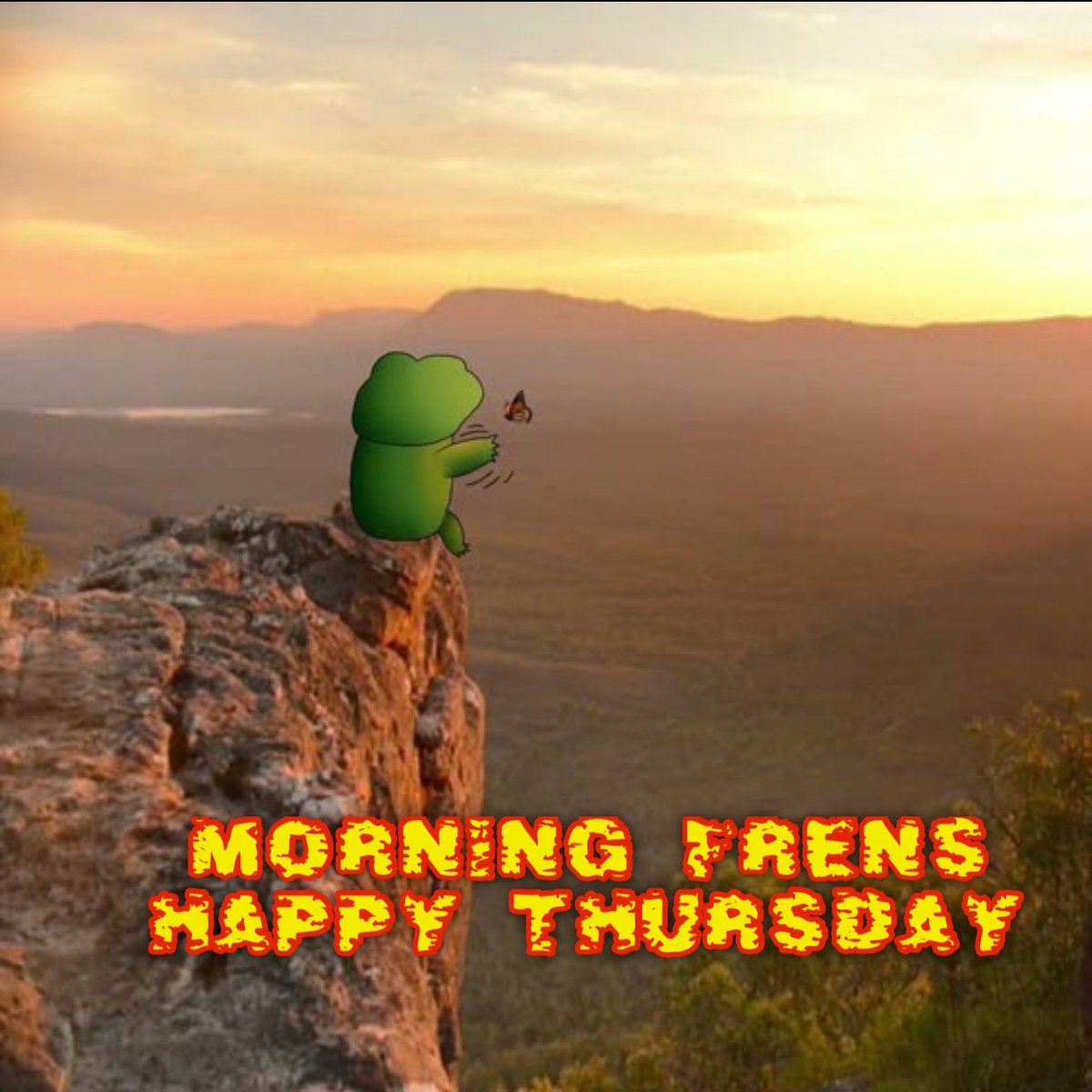GM