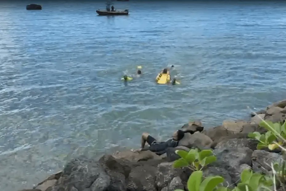 🌊Des pompiers formés au sauvetage aquatique à Mayotte, l'un des départements les plus touchés par les noyades

👉D'après Santé Publique France en 2021, Mayotte était le 2e département ultramarin le plus touché avec 27 noyades, dont dix mortelles.

📲💻la1ere.franceinfo.fr/mayotte/une-vi…