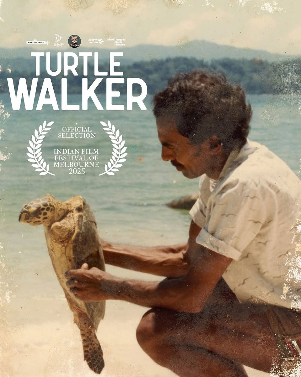Sheridan Tongue has co-composed the music for the film 'Turtle Walker' which has won Best International Film at the 2025 San Francisco Frozen Film Festival 📽️🎶