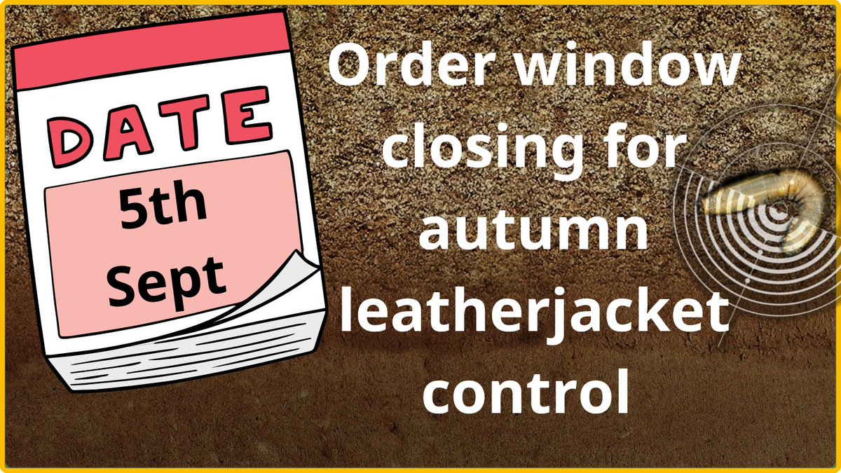 SyngentaTurfUK's tweet photo. The window for ordering #LTAP closes in under a month. 

Golf and sports turf managers should now order the #Leatherjacket Total Approach Pack (LTAP), to ensure the timely delivery of this autumn’s treatment strategy.

Find out more ⤵️

https://t.co/wIWGziiU9M https://t.co/mVmp7b7M9v