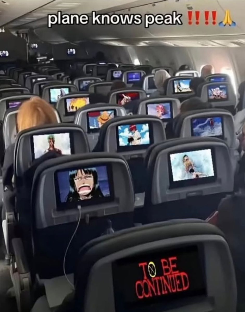 One Piece Daily (@opdaiiy) on Twitter photo 