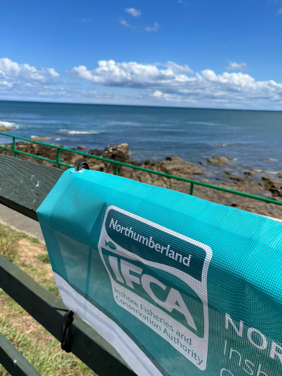 Another great St Mary’s Wildlife Festival organised by St Mary’s Lighthouse &amp; Visitor Centre took place last weekend, where we had the chance to talk to visitors about the local marine environment and inshore fisheries 🦀🦞