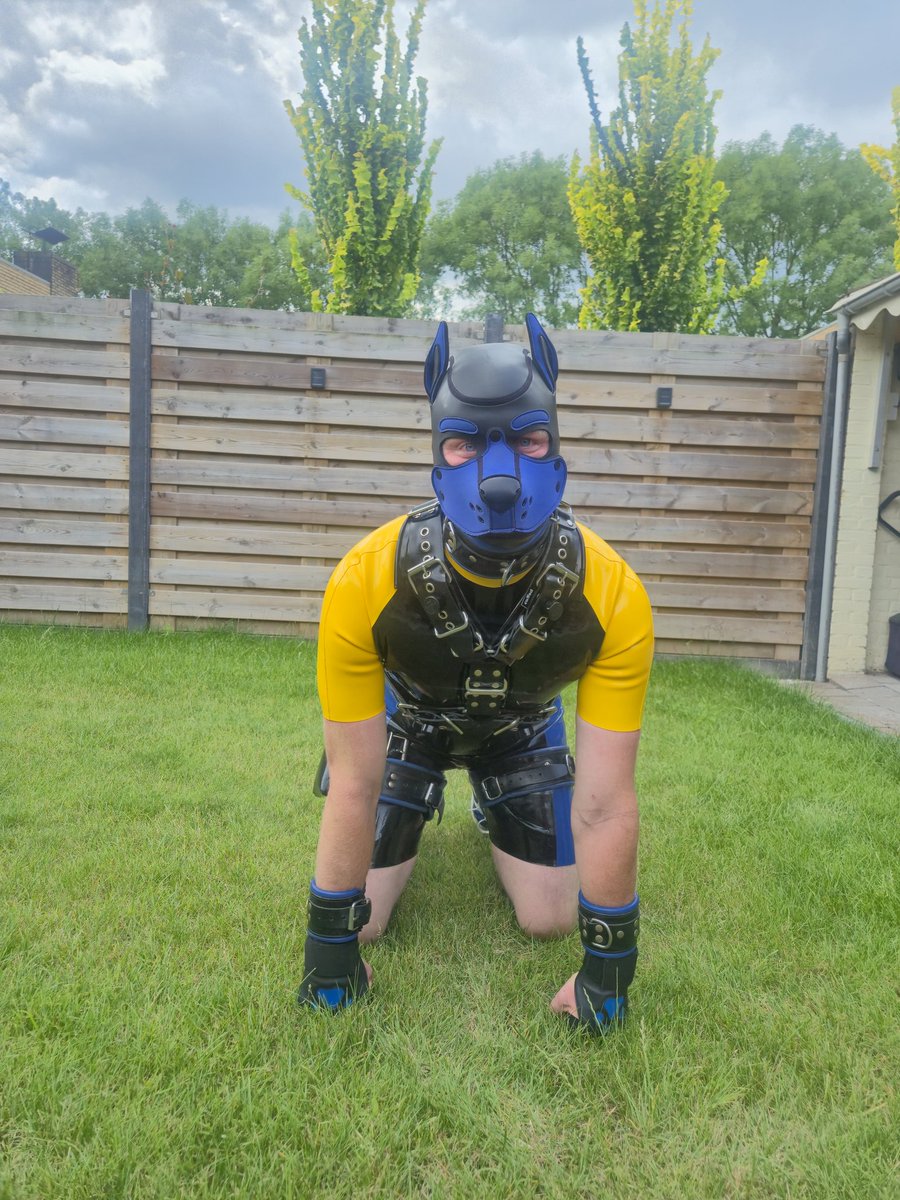 rubber pup blue tweet media