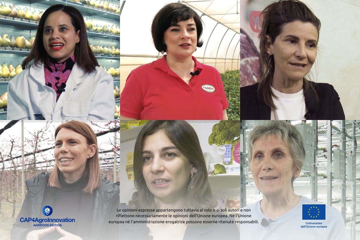 AgroNotizie (@agronotizie) on Twitter photo Ortofrutta & innovazione: sei video con sei donne protagoniste
#IMCAP <a href="/EUAgri/">EU Agriculture🌱</a>
Leggi la news dedicata al progetto
#CAP4AgroInnovation - Agrifood Edition
agronotizie.imagelinenetwork.com/agricoltura-ec…
#PAC #video #sostenibilità #ortofrutta Ortofrutta & innovazione: sei video con sei donne protagoniste
#IMCAP <a href="/EUAgri/">EU Agriculture🌱</a>
Leggi la news dedicata al progetto
#CAP4AgroInnovation - Agrifood Edition
agronotizie.imagelinenetwork.com/agricoltura-ec…
#PAC #video #sostenibilità #ortofrutta