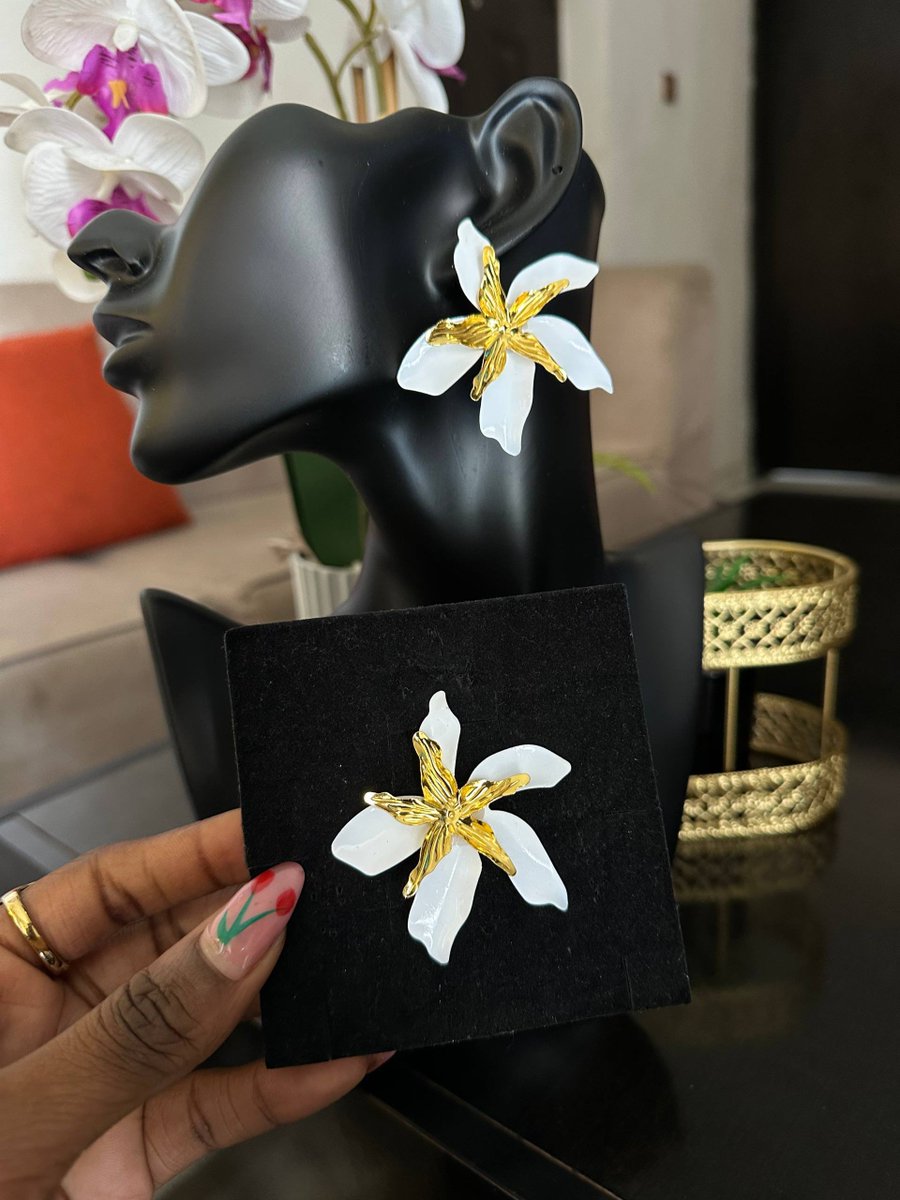 shopwithkaline's tweet image. New In 

Beautifully Selected Colors
🏷️3,500

08145713676

📍Onitsha 
We deliver nationwide 

#onitshavendor #accesorios #earrings #trending