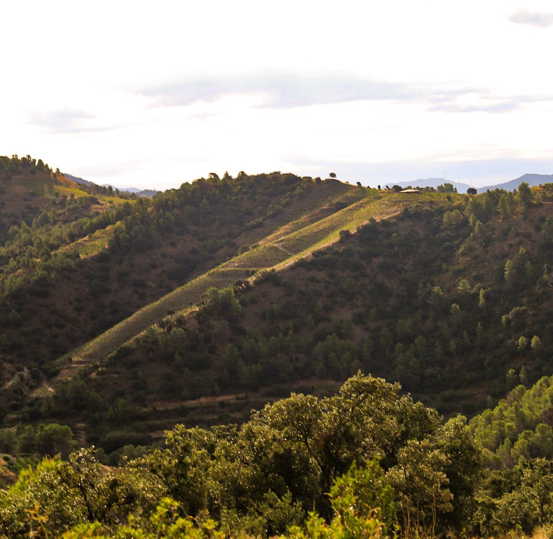 Venus La Universal tweet media