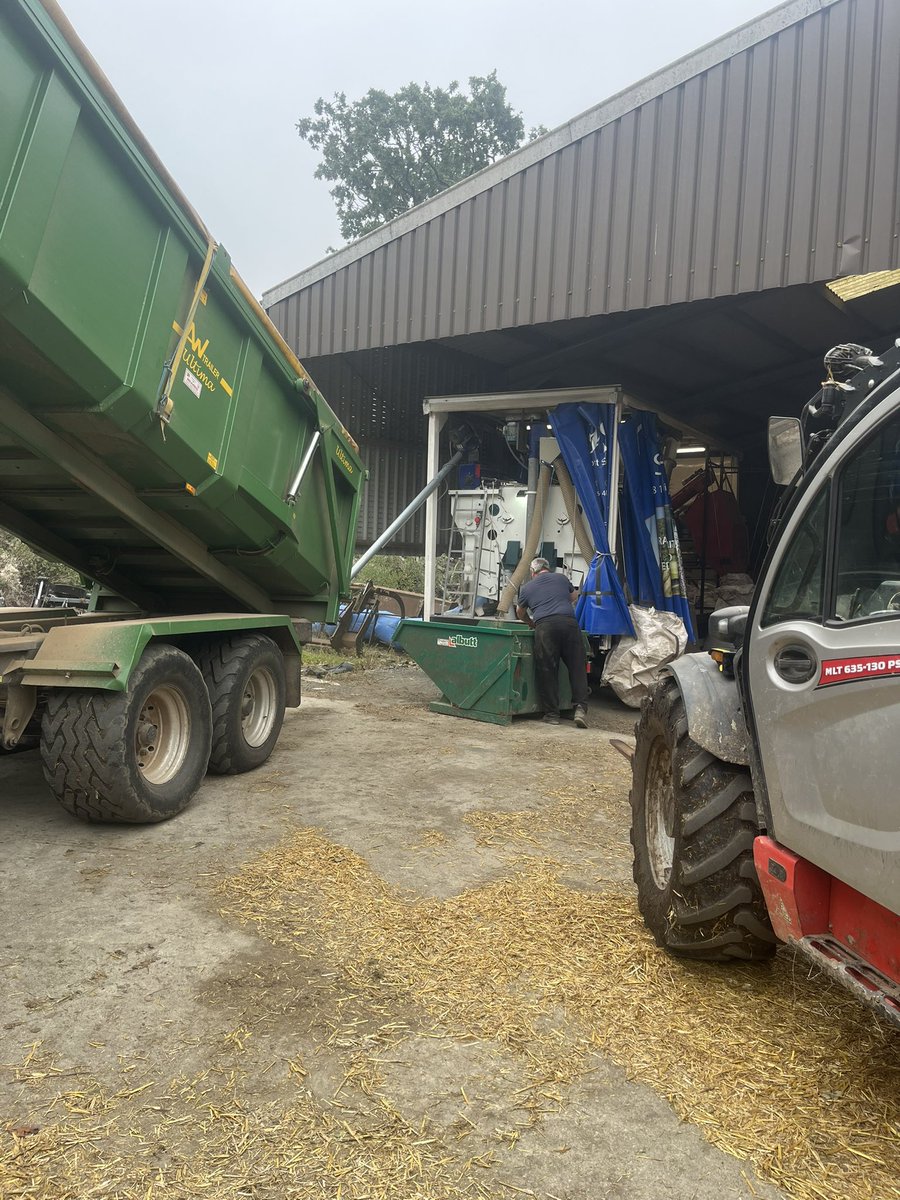 Longwool's tweet image. And so it starts again for #harvest26 @SouthWestSeeds cleaning RGT Southwark oats all in the faint hope that Oat Millers might pay a sensible price that leaves a proper margin for growers 🤦‍♂️ at the moment we have been taken for a ride ☹️