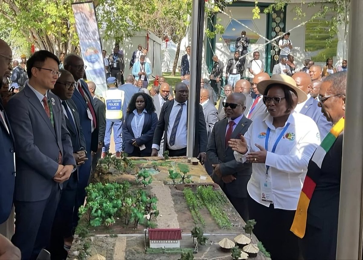 🛑 Deforestation, overgrazing &amp; siltation threaten Zimbabwe’s vital #Wetlands. The <a href="/theGEF/">Global Environment Facility (GEF)</a> funded <a href="/DSLIPZim/">Drylands sustainable landscape impact program</a>  project is reversing this: 

⛰️1M+ ha under improved management, 
👨‍🌾👩‍🌾15K farmers supported.

At #COP15Wetlands the #DSLIP project showed how🔗👉bit.ly/4lmGzyb