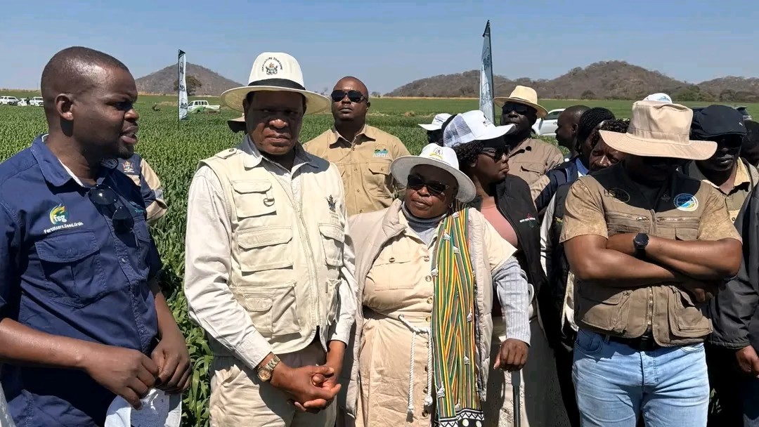 PositiveEyeZimbabwe 🇿🇼 (@positiveeyezim) on Twitter photo Zimbabwe’s Strategic Turn in Agriculture Gains Momentum
positiveeyenews.co.zw/2025/08/07/zim…
<a href="/MoLAFWRD_Zim/">MinofLands,Agric,Fisheries,Water&Rural Development</a> Zimbabwe’s Strategic Turn in Agriculture Gains Momentum
positiveeyenews.co.zw/2025/08/07/zim…
<a href="/MoLAFWRD_Zim/">MinofLands,Agric,Fisheries,Water&Rural Development</a>