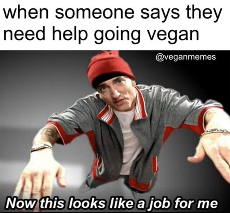 When someone says they want to go vegan but don’t know where to start 👀
Now this looks like a job for us 💪🌱
➡️rpb.li/a7NhCG 

CC: <a href="/veganmemes/">Vegan Memes</a> 

Protein? Snacks? Daily essentials? We've got your back.
#VeganLife #PlantBasedHelp #GoVegan