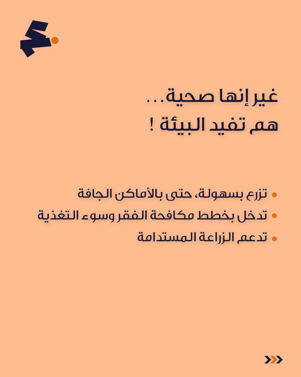 الكل قاعد يتكلم عن #المورينجا!
منو يصدق شجرة بسيطة تصير ترند بكل مكان؟

ناس واجد جربوها وقاموا يحلفون بفوايدها…
يعني تخلي الجسم نشيط، تهدي الهضم، تقوي المناعة، وحتى تنفع للبشرة بعد! 😍

والمفاجأة؟
🍃 تزرع بسهولة، وتفيد الناس والبيئة بنفس الوقت!

إنت/ي جربتها؟ شرايك فيها؟
📌 سيف