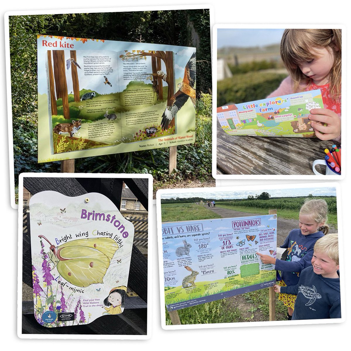 Colour Heroes tweet media