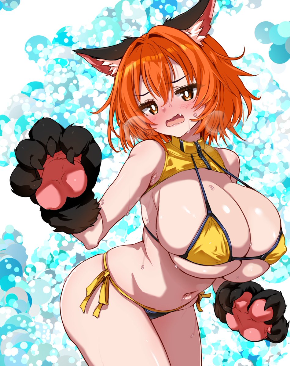 今シーズン4着着てるバカメスとは私か? 