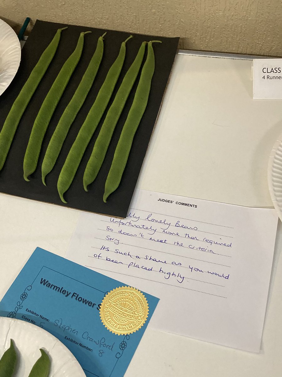 Joanna Trainor tweet media