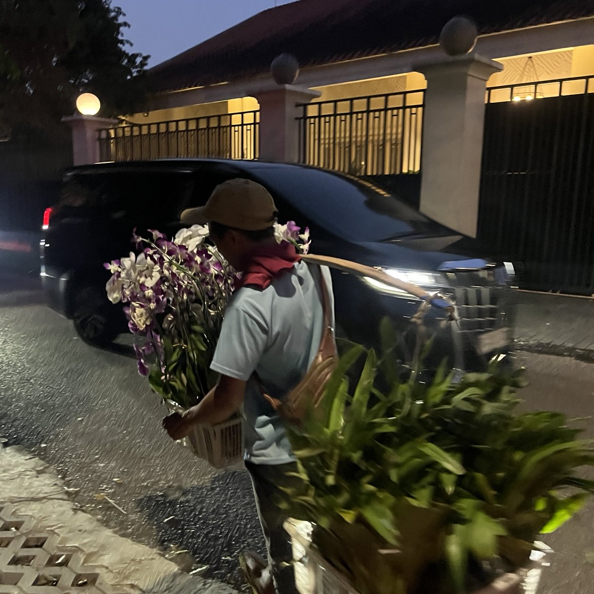 Colm Downes tweet media